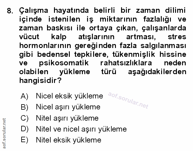 Soru 8
