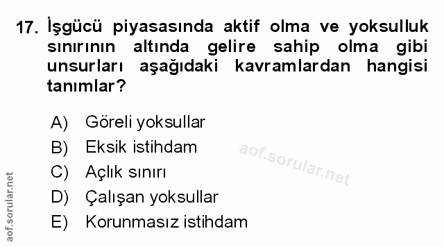 Soru 17