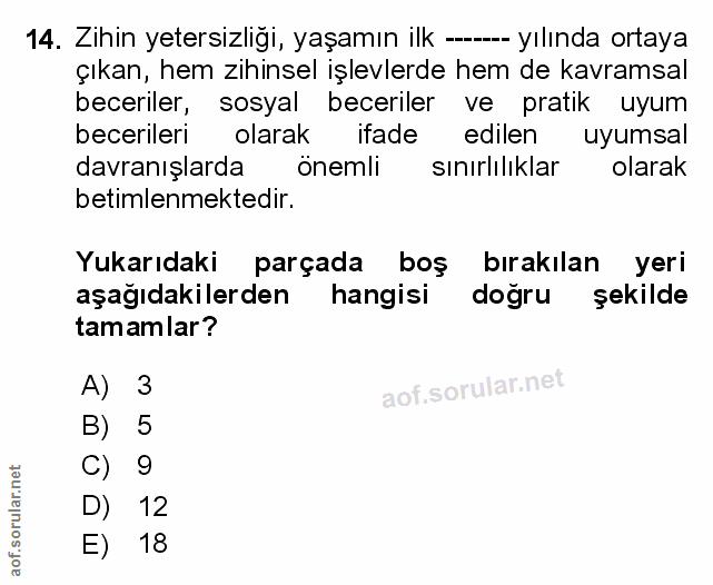 Soru 14
