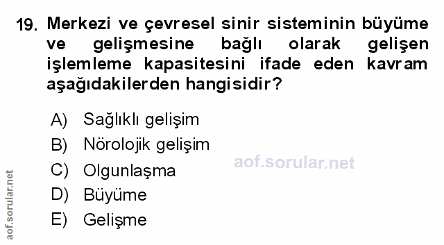 Soru 19