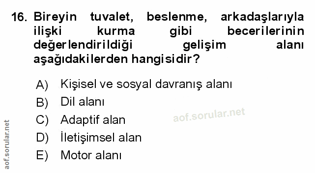 Soru 16