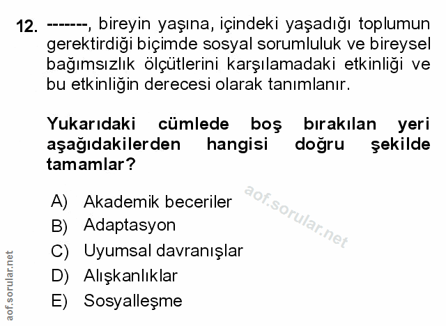 Soru 12