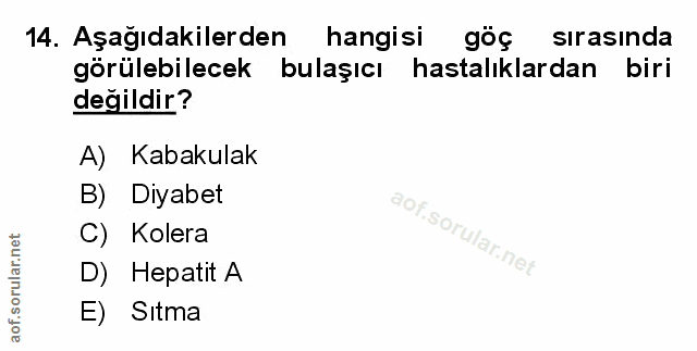 Soru 14