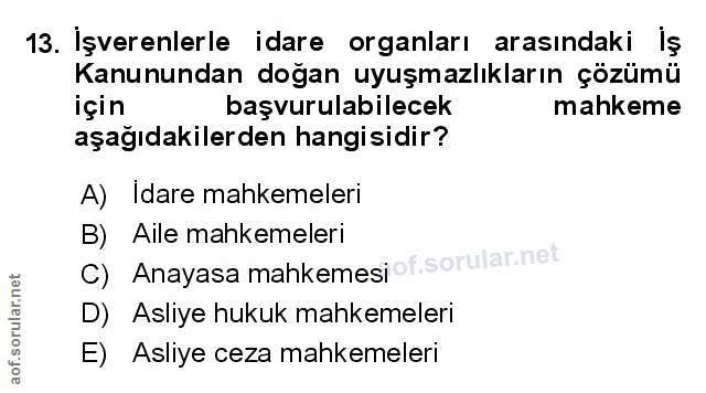 Soru 13