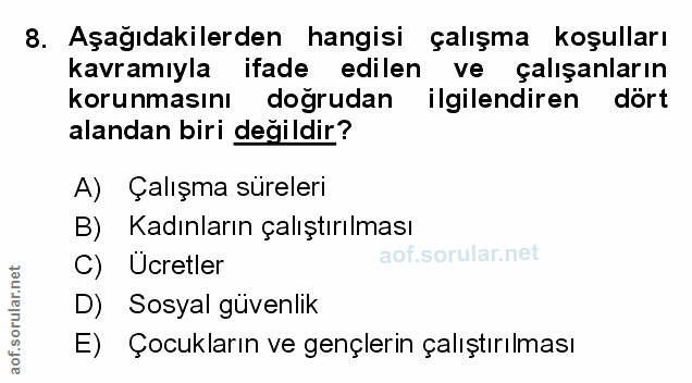Soru 8