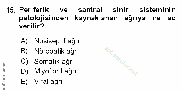 Soru 15