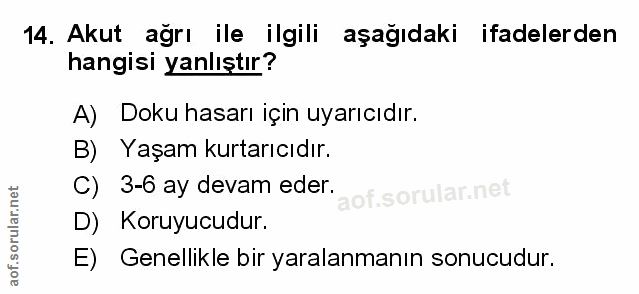 Soru 14