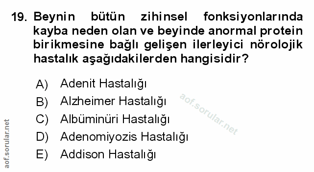 Soru 19