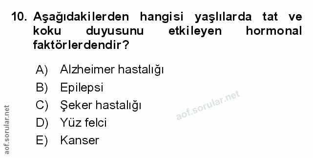 Soru 10