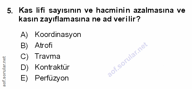 Soru 5