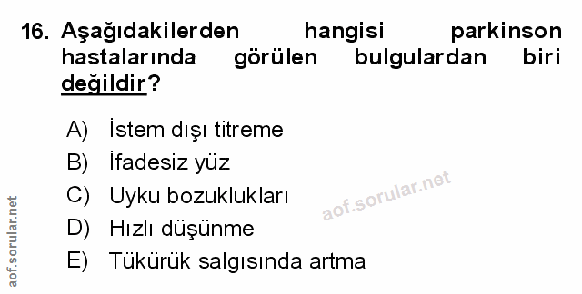 Soru 16