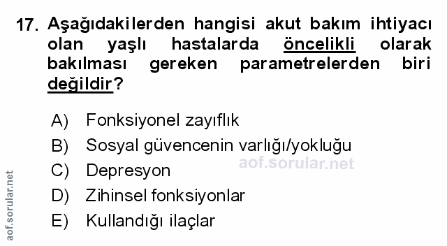 Soru 17