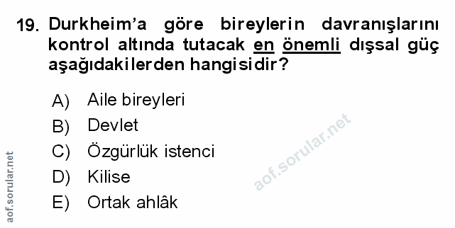 Soru 19