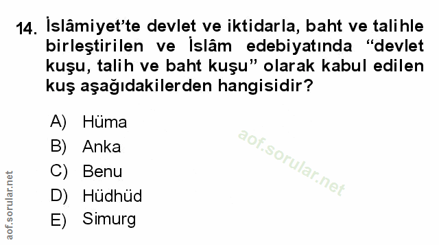 Soru 14