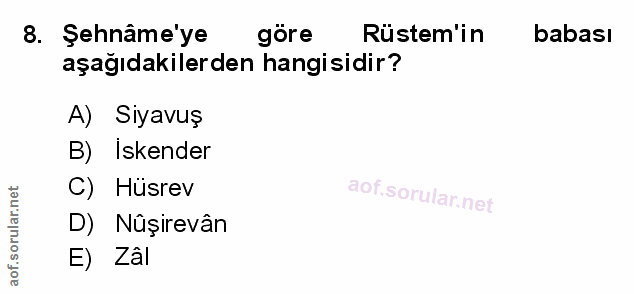 Soru 8