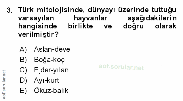 Soru 3