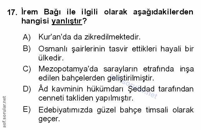 Soru 17