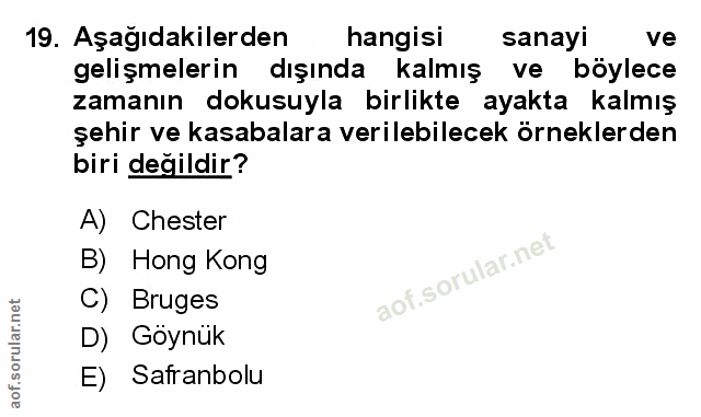Soru 19