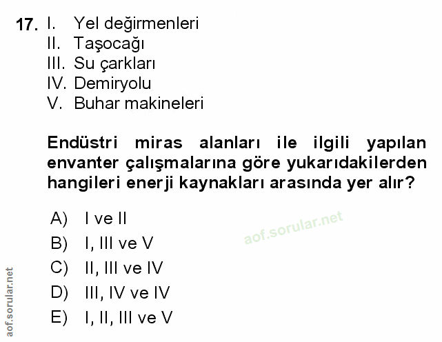 Soru 17