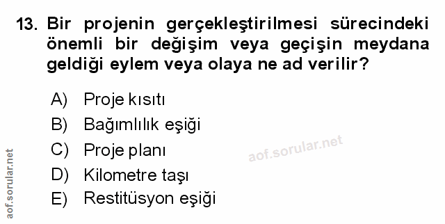 Soru 13