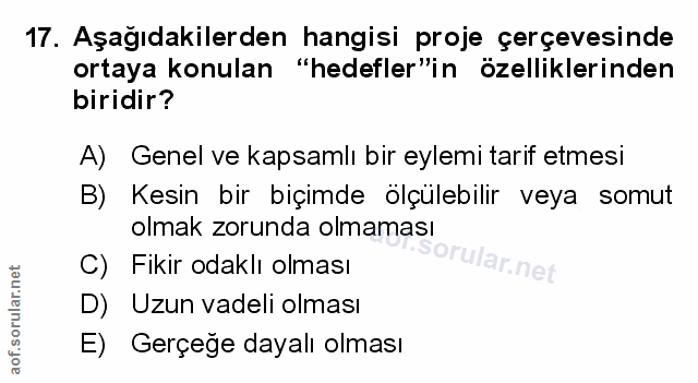 Soru 17