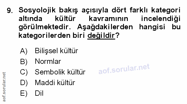 Soru 9