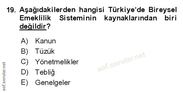 Soru 19