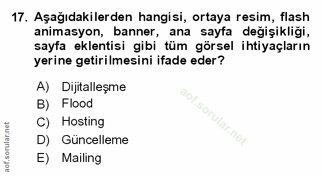 Soru 17