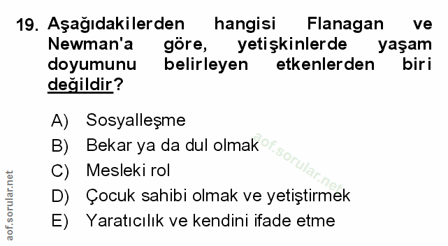 Soru 19