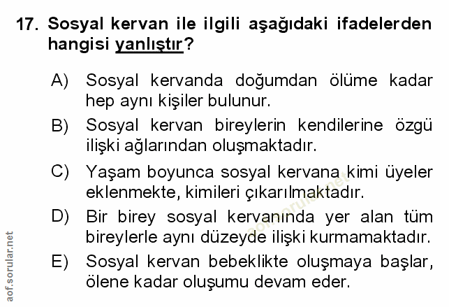 Soru 17