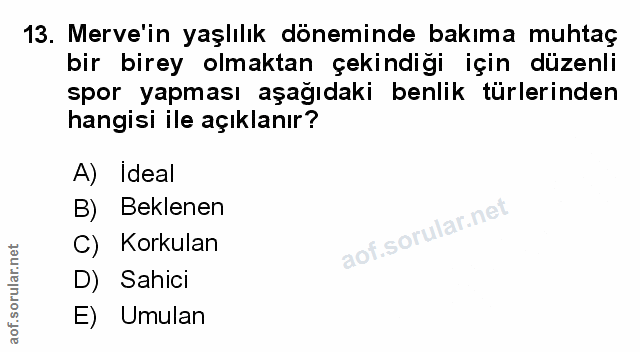 Soru 13