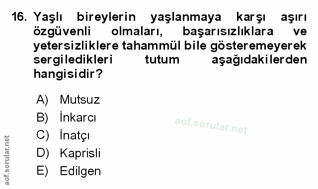 Soru 16