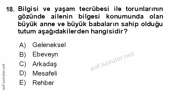 Soru 18