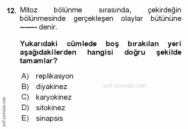 Soru 12