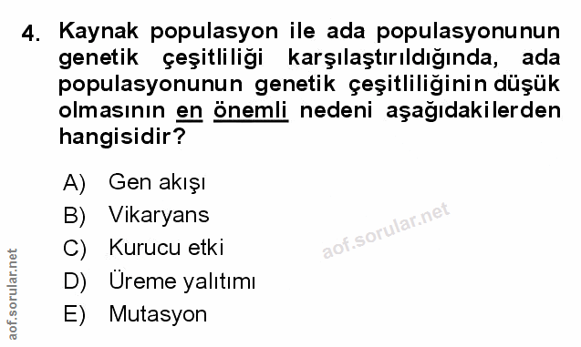 Soru 4