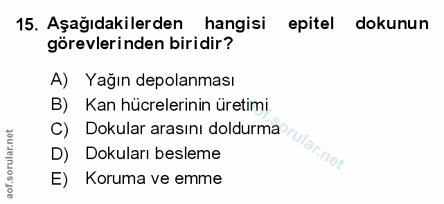 Soru 15