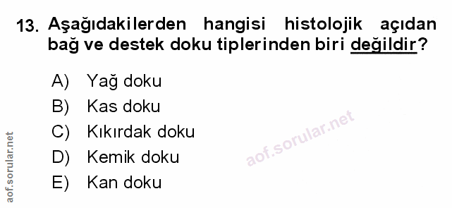 Soru 13
