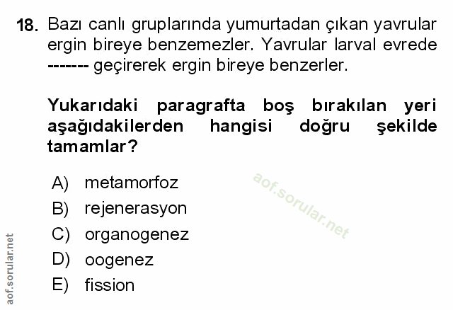 Soru 18