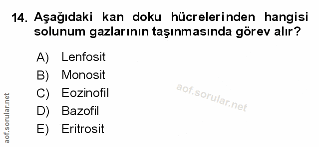 Soru 14