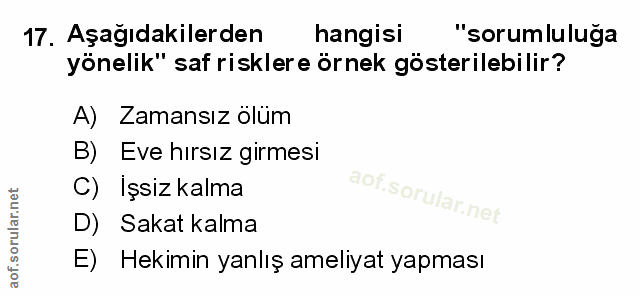 Soru 17