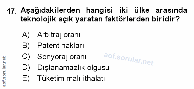 Soru 17
