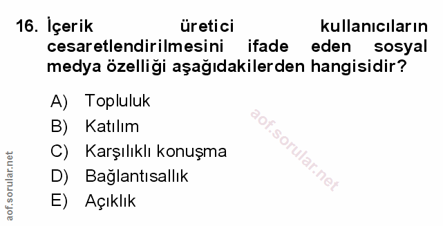 Soru 16