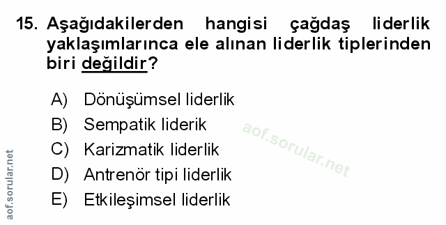 Soru 15