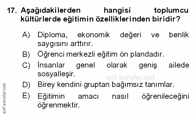 Soru 17
