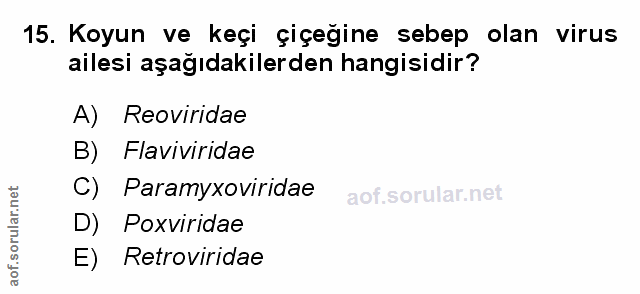 Soru 15