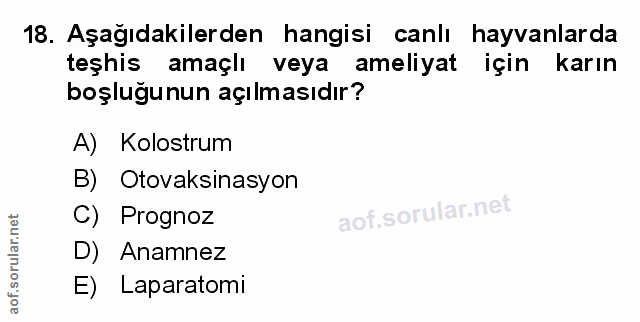 Soru 18