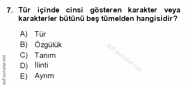 Soru 7