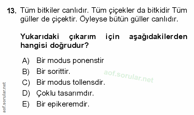 Soru 13