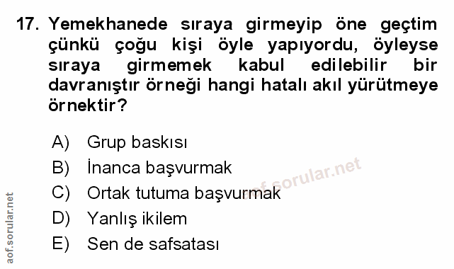 Soru 17