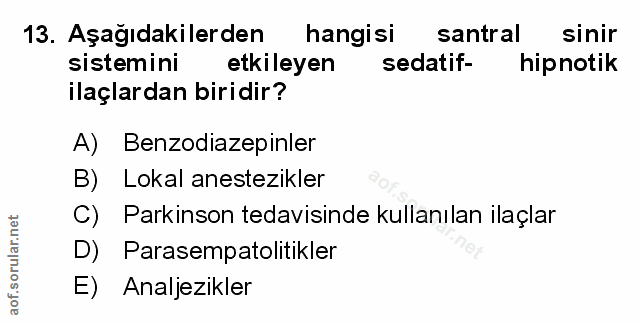 Soru 13